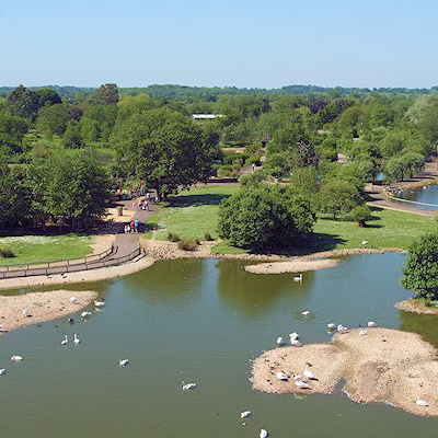 Kim Reynolds, Wildfowl & Wetlands Trust